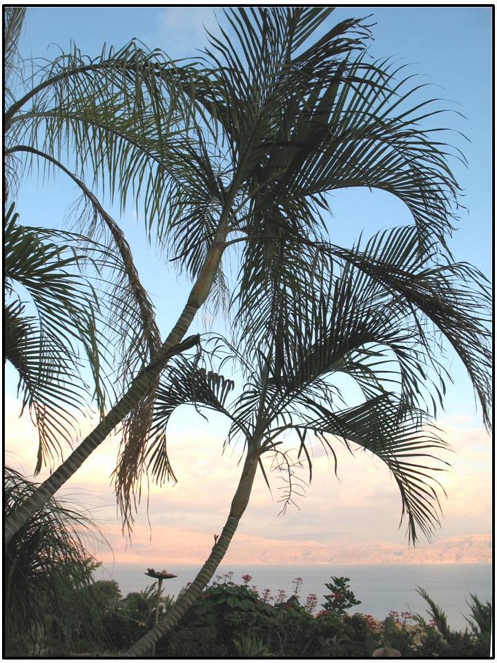 ��� ��� ������ ���� ���