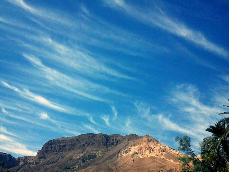 ������� ������� ���� �����