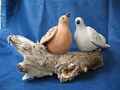 ���� ��� - ����� �������