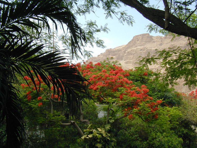 ������� �����