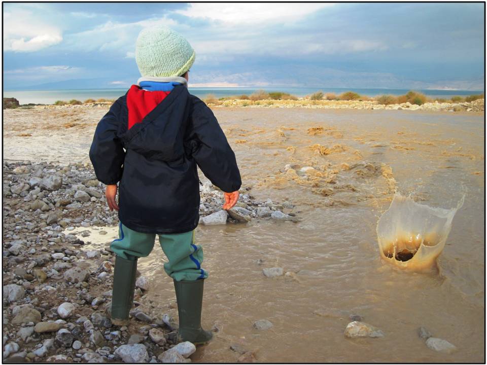 ������ ���� ���� ���