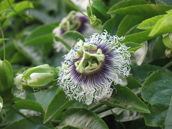 ������ ���� ����