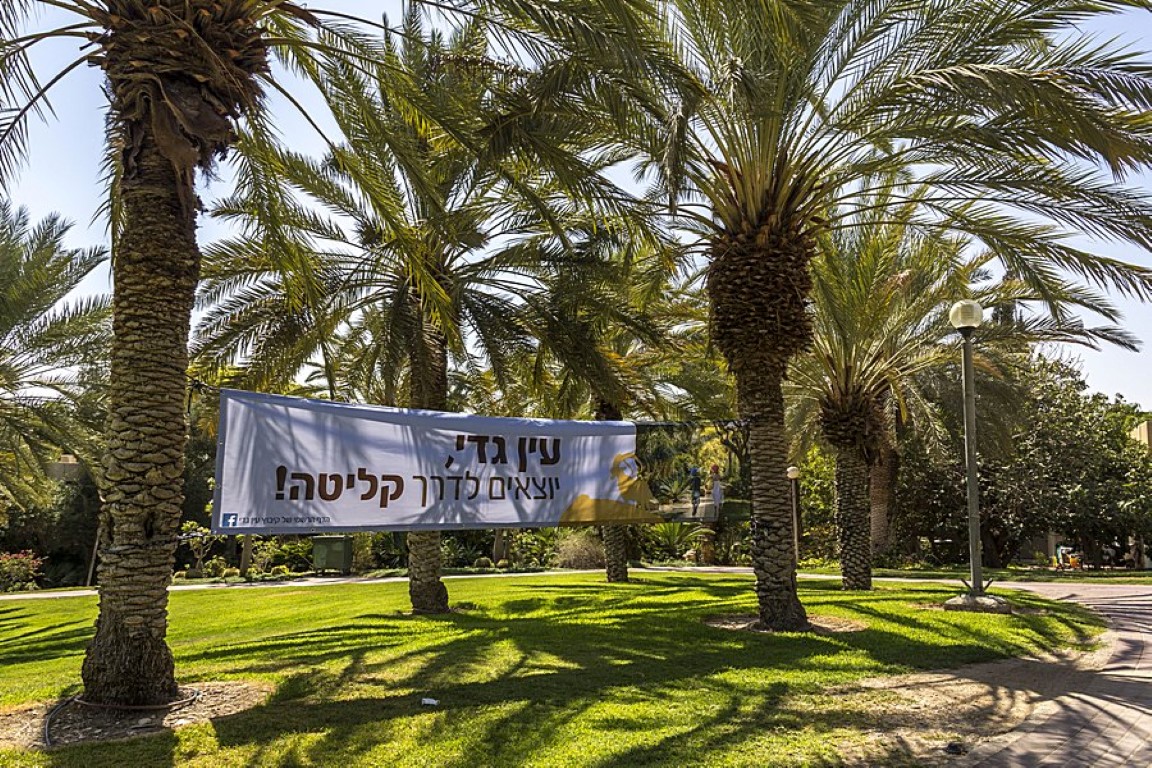 ����� ���������