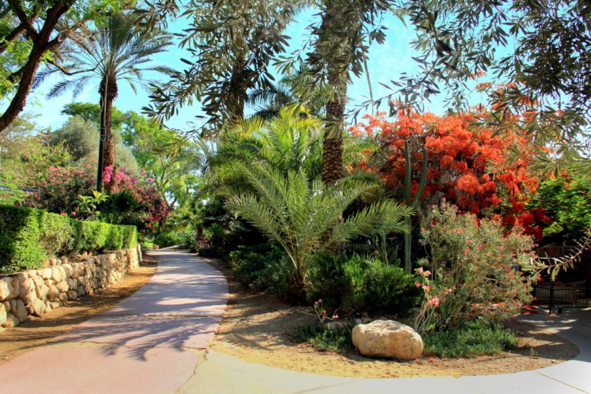 �� ����� ��� ���