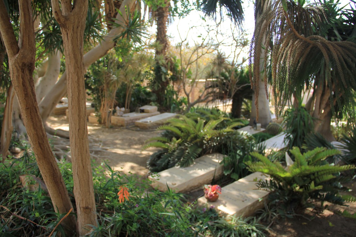 ������ �����